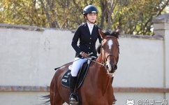 poronovideos中国的妈